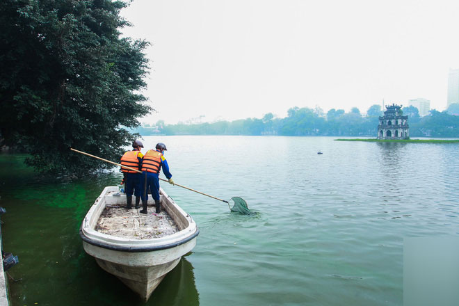 Sáng 17/4 nước Hồ Gươm bỗng xanh bất thường, phát hiện có tảo độc