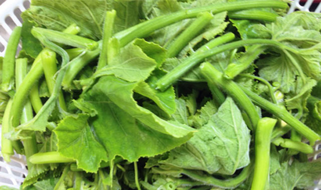 Mẹo tước ngọn bí nhanh bất bại, không còn xơ làm món gì cũng ngon Mẹo tước ngọn bí nhanh bất bại, không còn xơ làm món gì cũng ngon