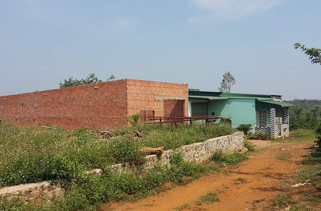 Vụ nhuộm cà phê bằng pin ở Đắk Nông: Những tiết lộ kinh hoàng