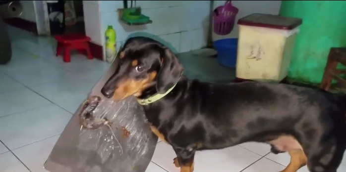 Câu chuyện boss lầy: Khi bạn ra sức bắt chuột và muốn khoe sen nhưng lại bị dính luôn vào bẫy