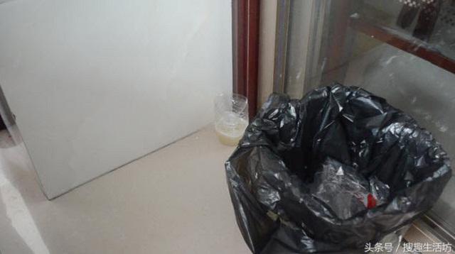 Mẹo bắt sạch bách muỗi trong nhà chỉ cần một ít bia uống dở và thứ nhà nào cũng có Mẹo bắt sạch bách muỗi trong nhà chỉ cần một ít bia uống dở và thứ nhà nào cũng có