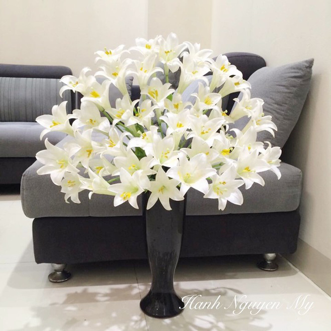 Tháng Tư ngất ngây với mùa hoa loa kèn và những cách cắm đẹp lung linh mê hồn