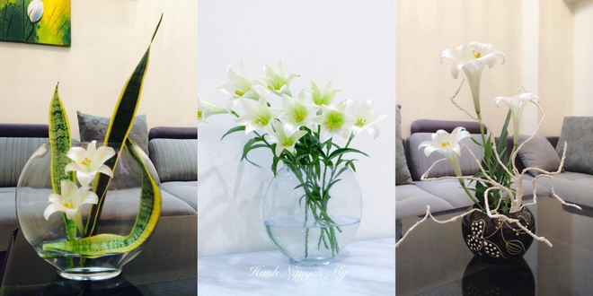 Tháng Tư ngất ngây với mùa hoa loa kèn và những cách cắm đẹp lung linh mê hồn