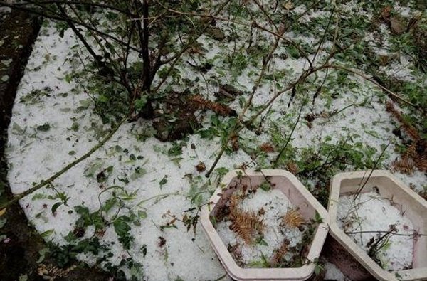 Dự báo thời tiết 20/4: Miền Bắc mưa dông, đề phòng mưa đá