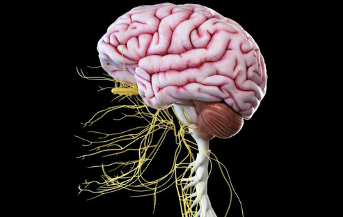 8 dấu hiệu bạn bị tổn hại thần kinh