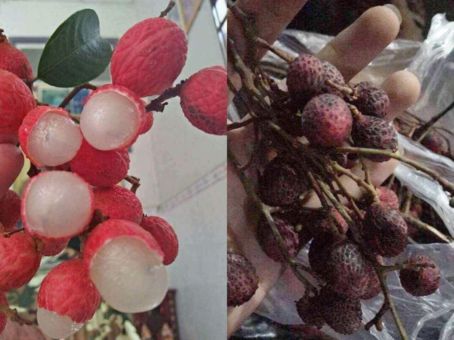 Chuyện mua hàng online: Đã chọn mua shop đắt để tăng độ tin cậy nhưng kết quả lại thất vọng nhân đôi