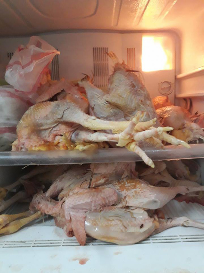 Lỡ khoe với bố vợ có thể thịt 1 con gà trong phút mốt, chàng rể xắn tay thể hiện làm 1 lúc 10 con và thành quả khiến vợ muốn giấu nhẹm