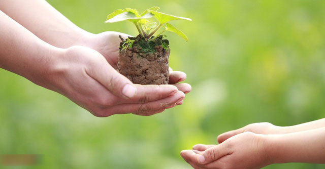 Câu chuyện Người gánh nước và cái bình nứt: Đừng bao giờ coi nhẹ bản thân ngay cả khi bạn không hoàn hảo Câu chuyện Người gánh nước và cái bình nứt: Đừng bao giờ coi nhẹ bản thân ngay cả khi bạn không hoàn hảo