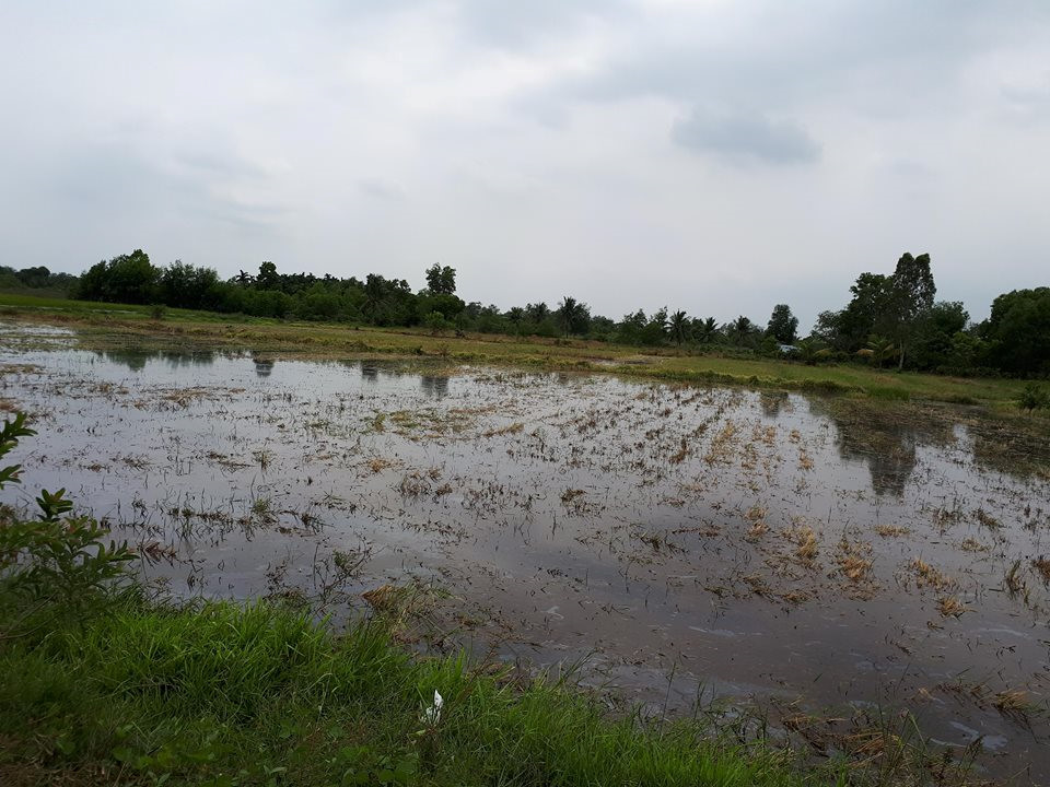 Một ngày ở điểm sốt đất quận 9 Sài Gòn