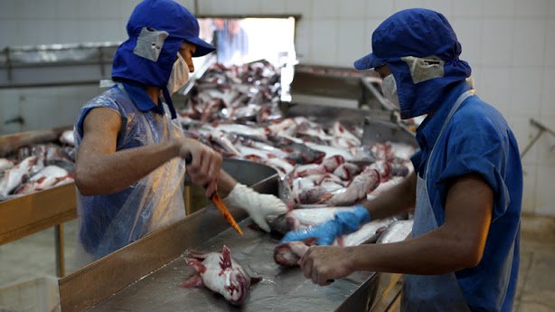 Chủ nghĩa bảo hộ trở lại: Tổng thống Trump quyết định rút lui, thế mạnh Việt Nam gặp khó