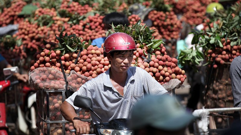 Chủ nghĩa bảo hộ trở lại: Tổng thống Trump quyết định rút lui, thế mạnh Việt Nam gặp khó