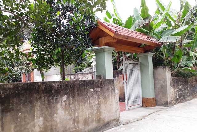 Cụ 70 bị tố hại đời cháu lớp 3: Cháu chỉ vào nhà tôi xin hoa quả