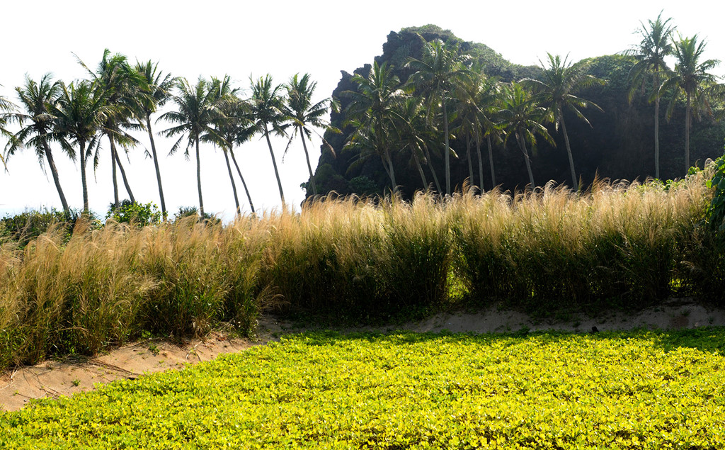 Việc dời đồn biên phòng nơi làm quần thể du lịch đã tính 9 năm trước?