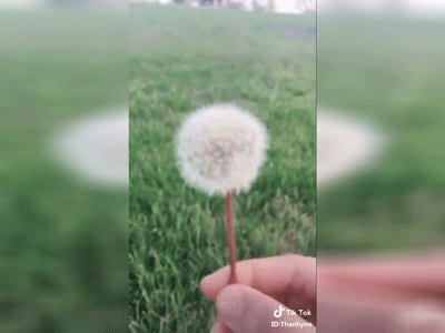 Clip: Thấy bồ công anh trong phim bay đẹp, cô nàng ngây thơ thổi thử và cái kết không lãng mạn cho lắm