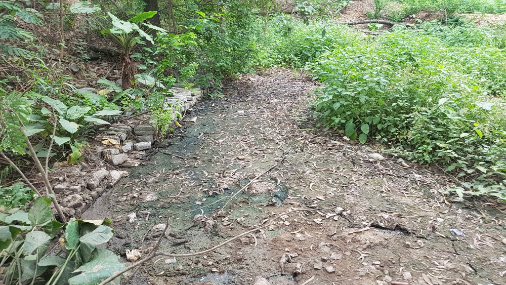 Hãi hùng bể phốt khổng lồ lộ thiên trong công ty môi trường