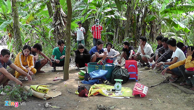 Hàng chục cảnh sát vây ráp sới đá gà trong vườn chuối