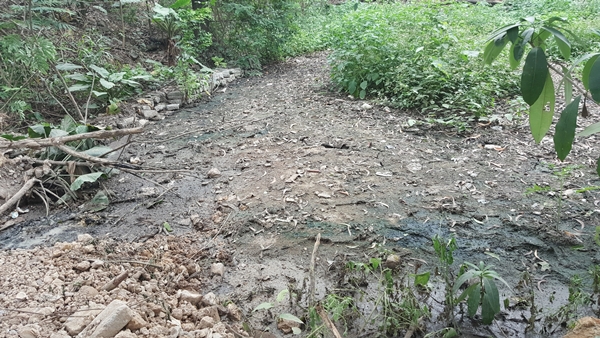 Chủ tịch Hà Nội yêu cầu kiểm tra chất thải bẩn đổ ra sông Nhuệ