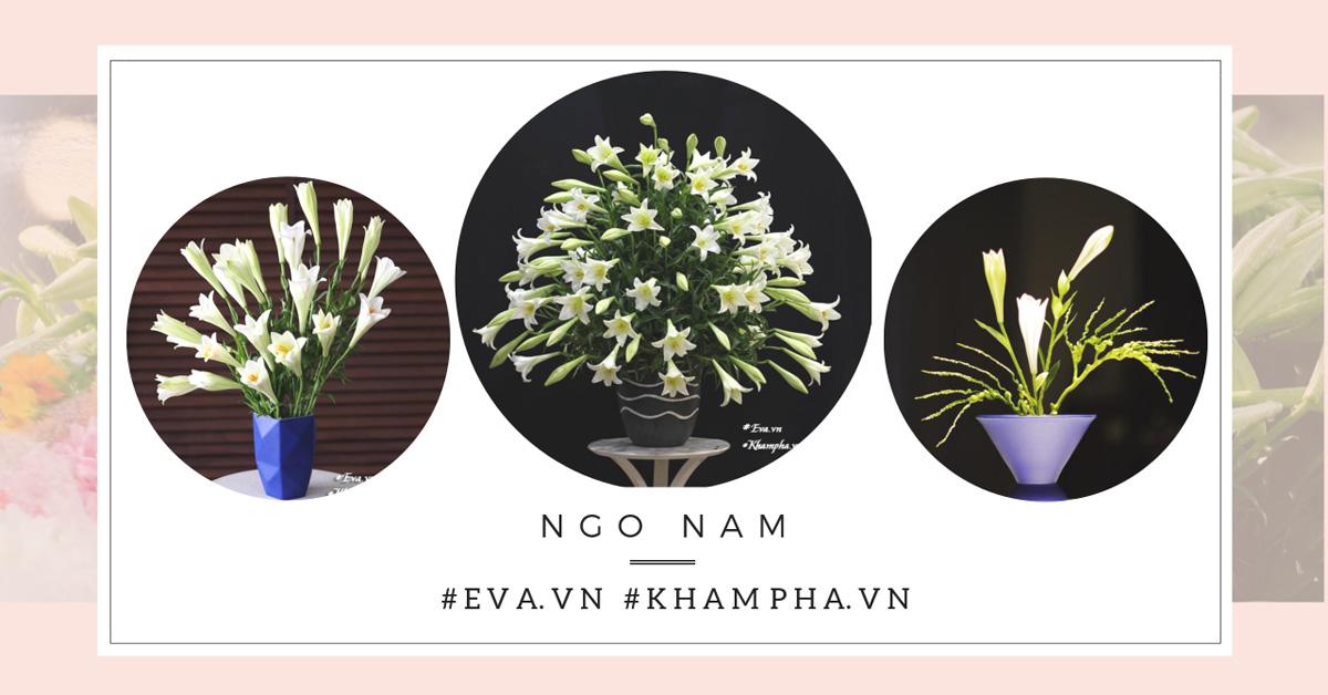 Là đấng mày râu, ông bố Hà Thành vẫn khiến chị em ghen tỵ vì cắm loa kèn quá khéo Là đấng mày râu, ông bố Hà Thành vẫn khiến chị em ghen tỵ vì cắm loa kèn quá khéo