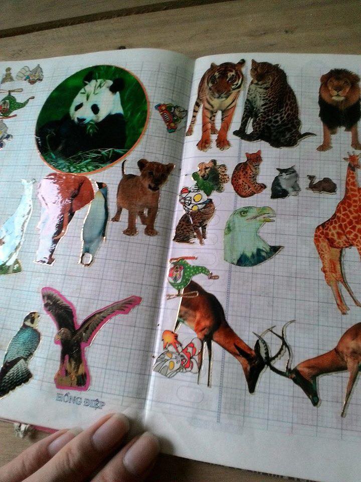 Kho báu của 9X: Cả nguồn sống bỗng chốc thu bé lại bằng một cuốn vở chứa đầy hình dán!
