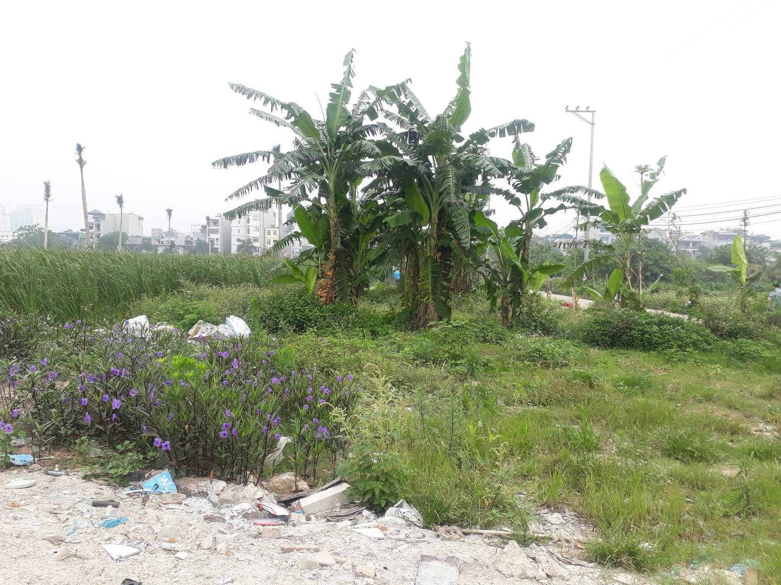 Lời khai của nghi phạm giết người giấu xác trong bao tải