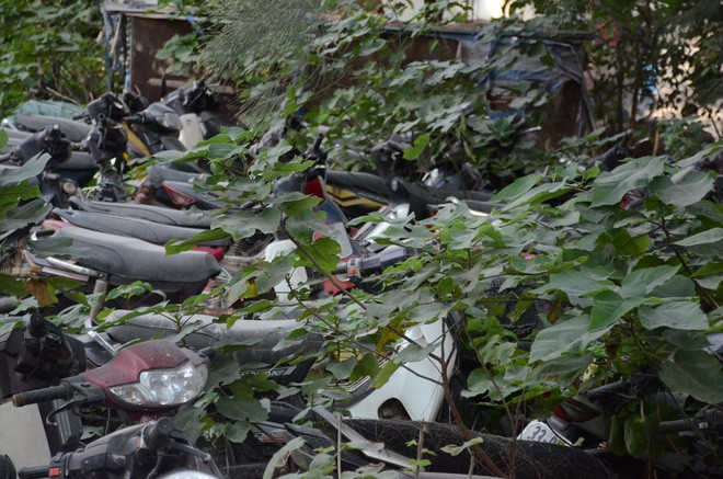 Hà Nội: Xác minh, kiểm tra clip tố CSGT cấu kết với kẻ gian lấy cắp đồ xe vi phạm