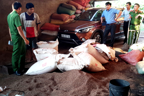 Phế phẩm cà phê nhuộm bột pin được trộn vào hồ tiêu