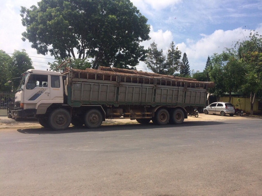 Bộ Công an vây bắt gỗ lậu cực lớn sát đồn biên phòng ở Đắk Lắk
