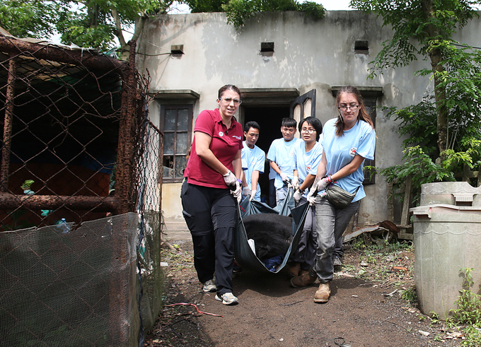 Giải cứu hai cá thể gấu nuôi nhốt cuối cùng tại Ninh Bình
