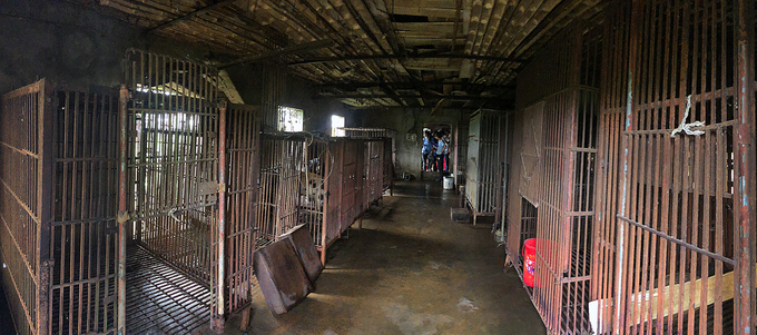 Giải cứu hai cá thể gấu nuôi nhốt cuối cùng tại Ninh Bình