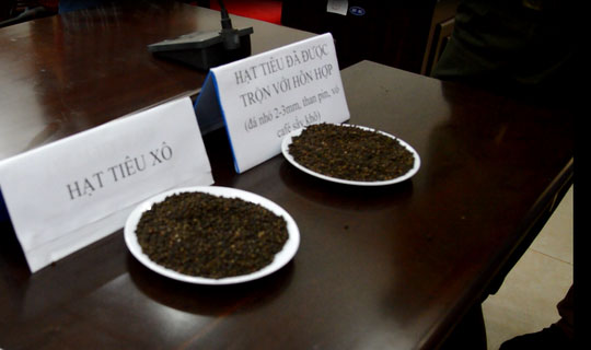 Rợn người xem quy trình sản xuất, trộn tạp chất nhuộm than pin vào hồ tiêu