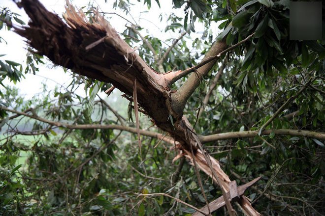 Người mẹ trẻ bị sét đánh tử vong: Con trai 45 ngày tuổi liên tục mớm miệng tìm sữa mẹ