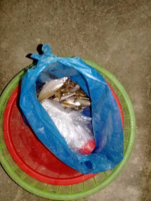 Lạng Sơn: Bắt quả tang 3 công nhân thả hóa chất độc xuống suối