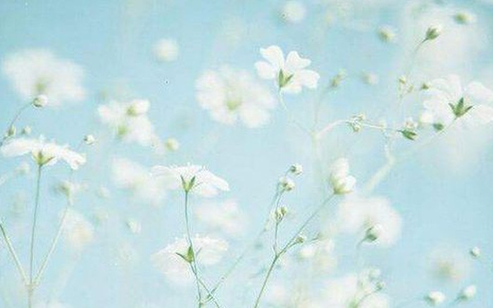Thứ Bảy của bạn (28/4): Tình yêu không như ý Thiên Bình Thứ Bảy của bạn (28/4): Tình yêu không như ý Thiên Bình