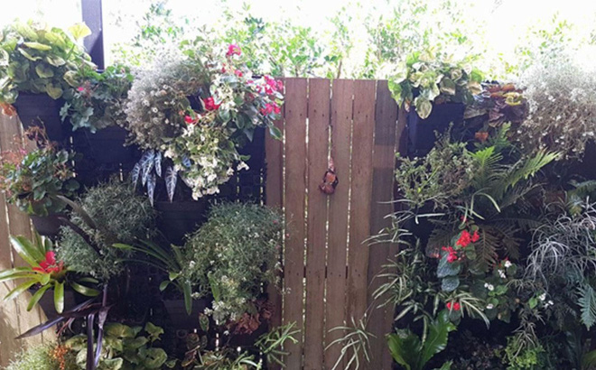 Bí mật kỳ dị sau cánh cửa: Nếu mở ra, bạn có thể hét lên vì sợ hãi!