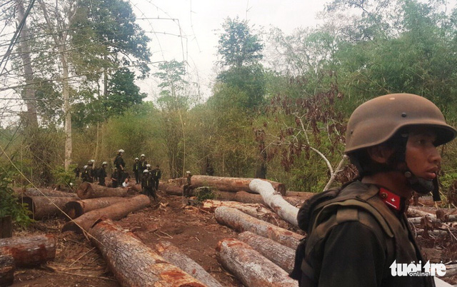 Đường dây Phượng râu chung chi cho cơ quan chức năng hàng tỉ đồng!
