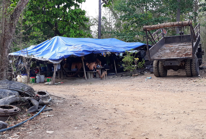 Cán bộ kiểm lâm nói gì về xưởng gỗ lậu của Phượng râu?