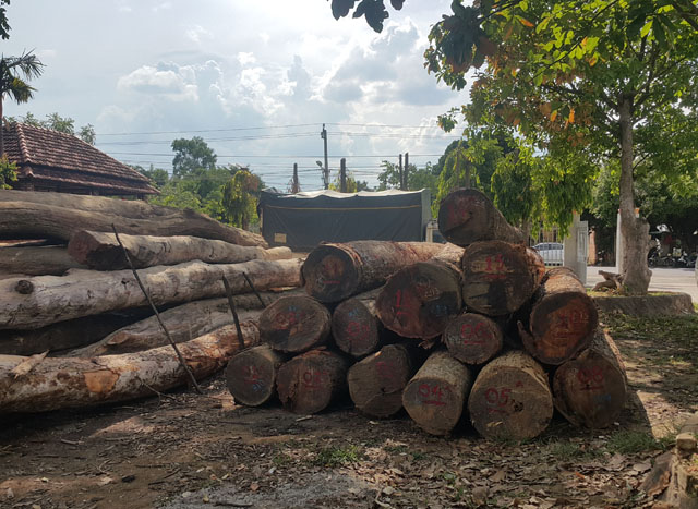 Bắt cánh tay phải của Phượng râu