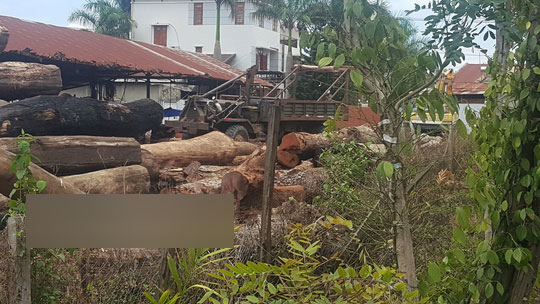 Trùm gỗ lậu Phượng râu: Từ người làm thuê thành đại gia khét tiếng