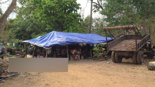 Trùm gỗ lậu Phượng râu: Từ người làm thuê thành đại gia khét tiếng