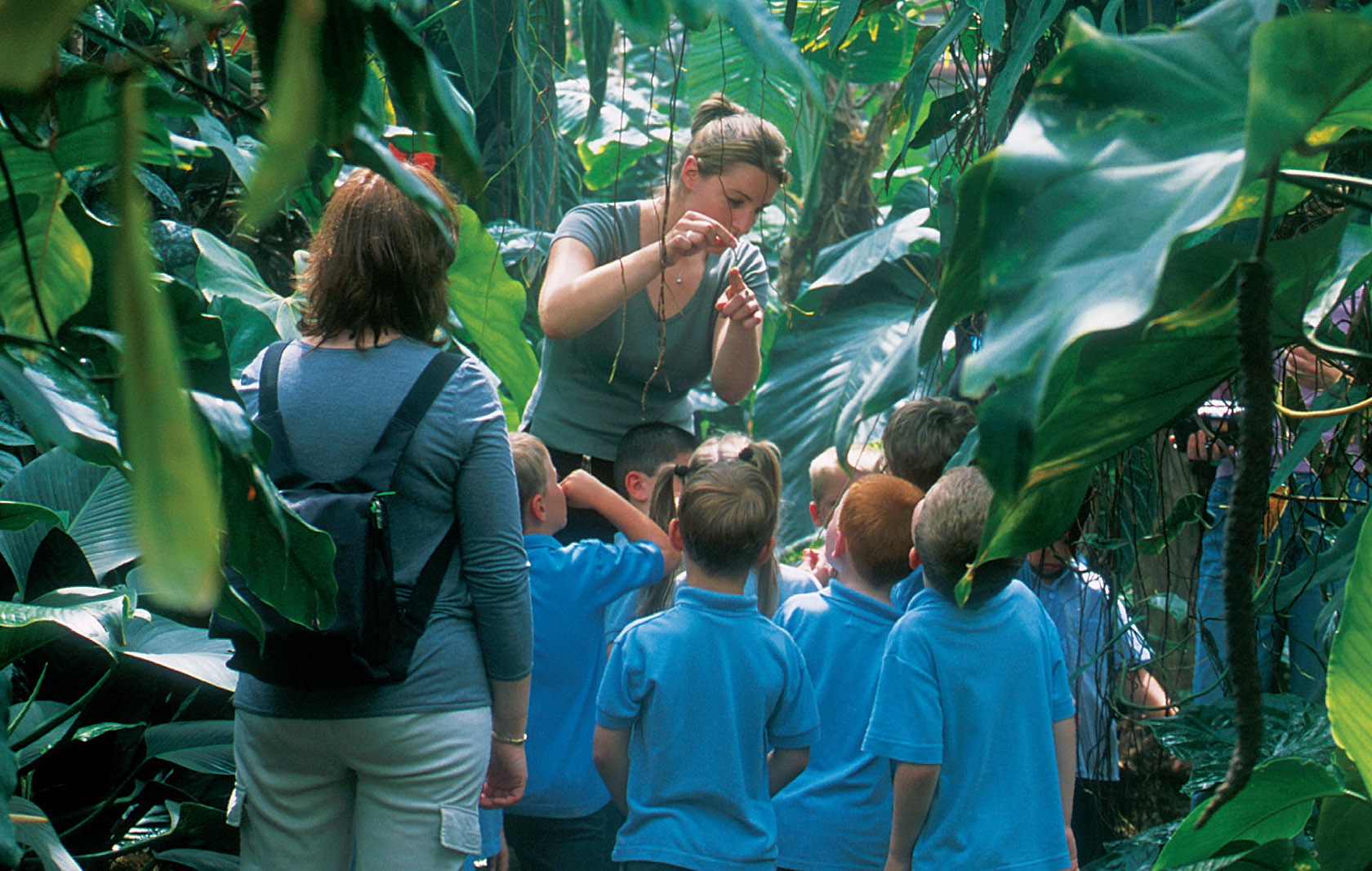 Bài luận của học sinh Việt Nam lọt top 10 bài luận xuất sắc nhất thế giới 2018