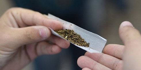 2 kiều nữ bán cần sa Canada trong quán bar ở phố cổ Hà Nội