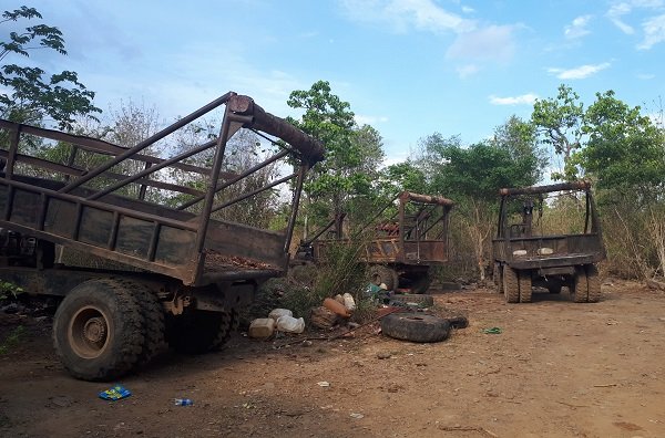 Vụ bắt gỗ lậu tại Đắk Lắk: Tiết lộ sốc từ Cục Kiểm lâm