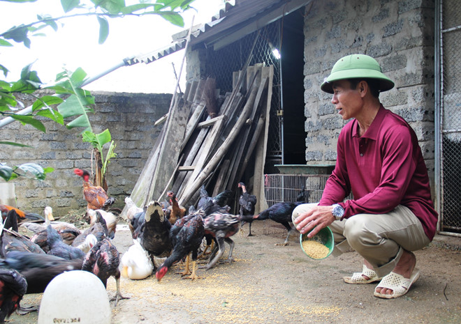 Người thoát án tử hình: Ngày về cái bát, cái chén cũng không có