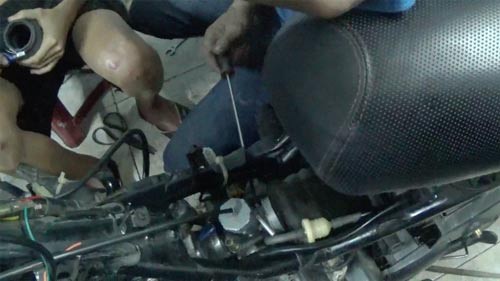 Hé lộ thế giới ngầm bão đêm