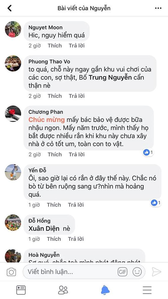 Bắt được rắn hổ mang khủng ở sân chơi chung cư Hà Nội Bắt được rắn hổ mang khủng ở sân chơi chung cư Hà Nội
