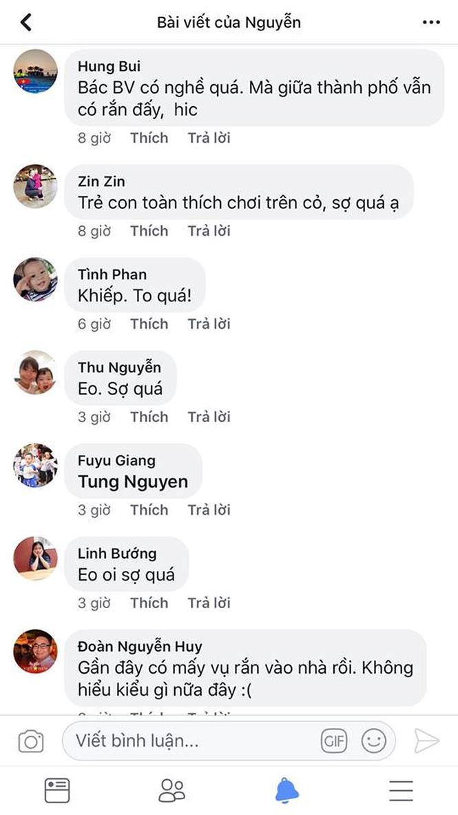 Bắt được rắn hổ mang khủng ở sân chơi chung cư Hà Nội Bắt được rắn hổ mang khủng ở sân chơi chung cư Hà Nội