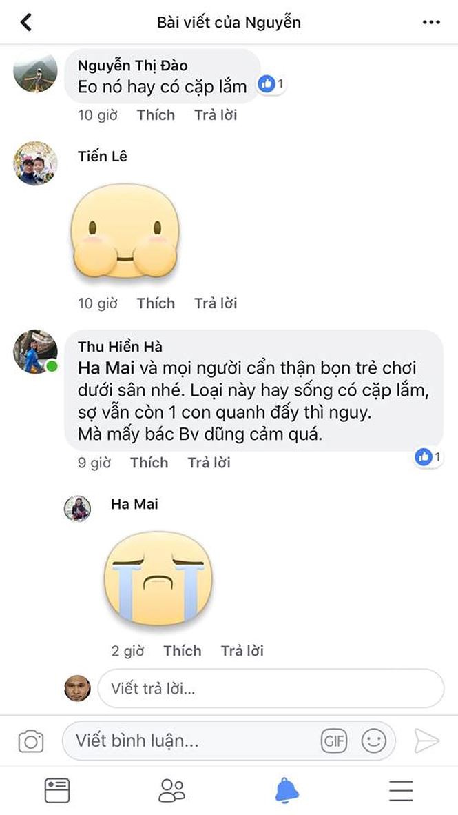 Bắt được rắn hổ mang khủng ở sân chơi chung cư Hà Nội