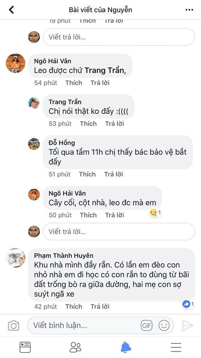 Bắt được rắn hổ mang khủng ở sân chơi chung cư Hà Nội