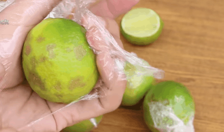 Cất trong tủ lạnh cả tháng mà quả chanh vẫn căng mọng, tưới rói chỉ nhờ một tờ báo cũ