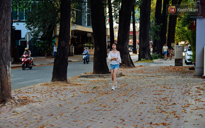 Mùa chò nâu xoay tít trên đỉnh đầu - Những vũ điệu quyến rũ người Sài Gòn khắp mọi nẻo đường